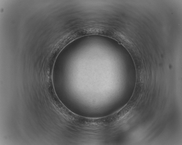 X0000062880737200601201819