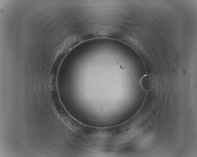 X0000062880738200601201819