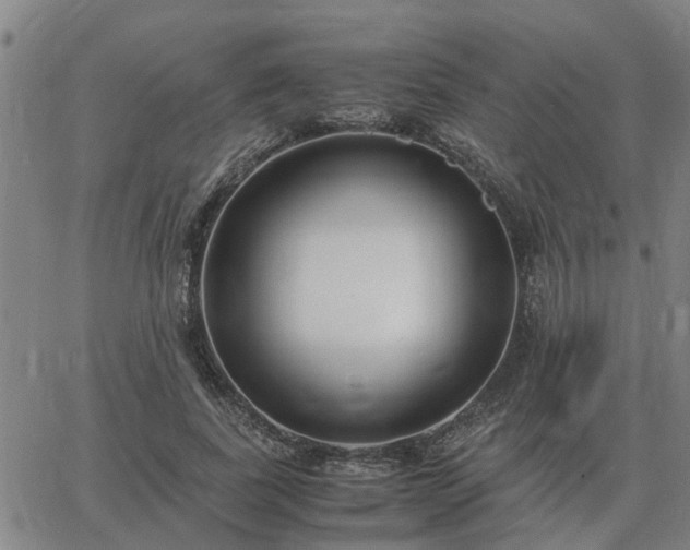 X0000062880739200601201819