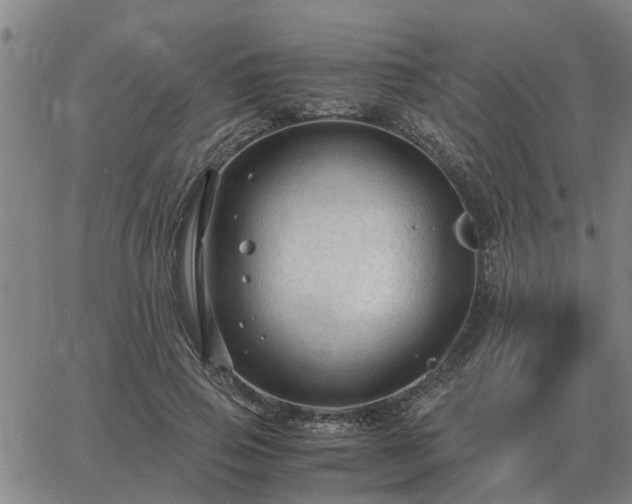 X0000062880741200601201819