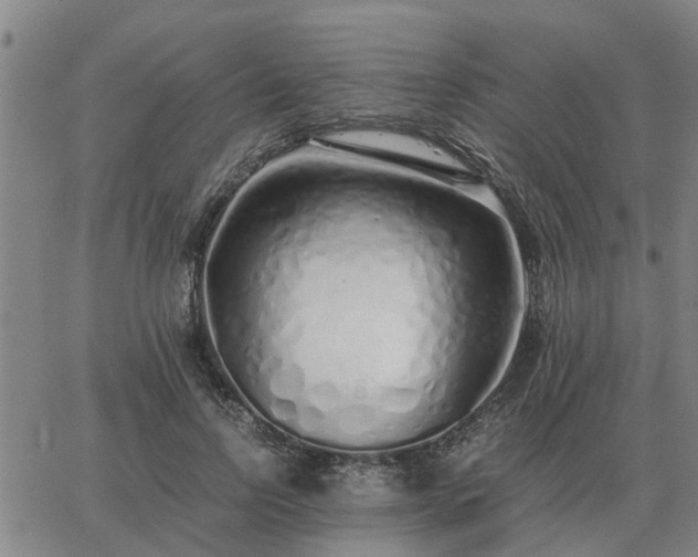 X0000062880742200601201819