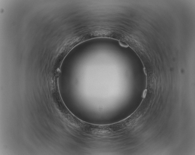 X0000062880743200601201819