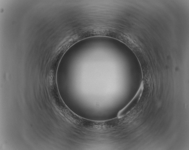 X0000062880744200601201819