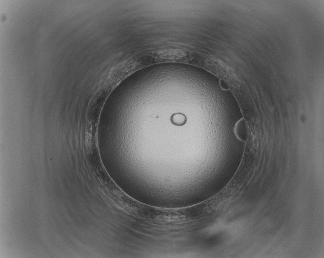 X0000062880745200601201819