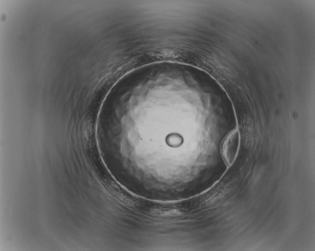 X0000062880747200601201819