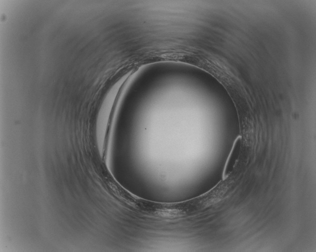 X0000062880748200601201819