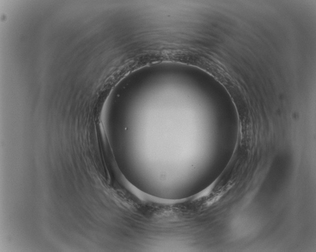 X0000062880750200601201819