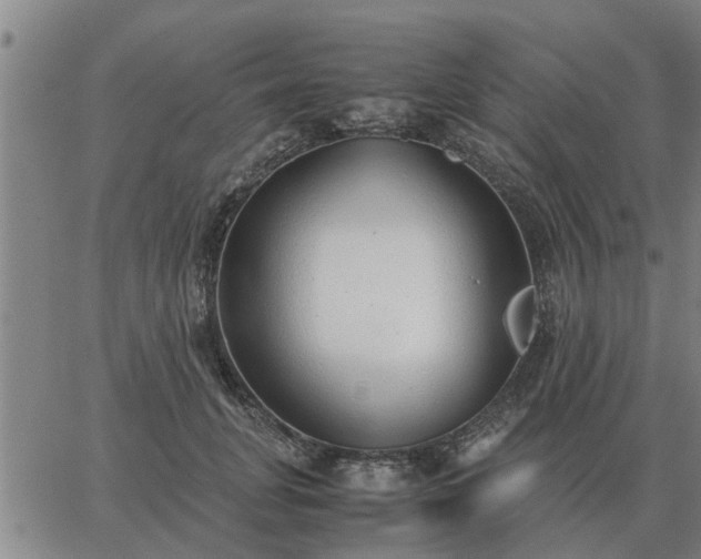 X0000062880751200601201819