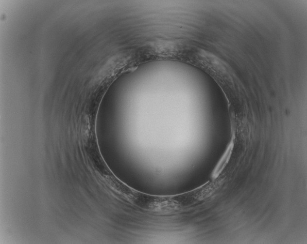 X0000062880752200601201819