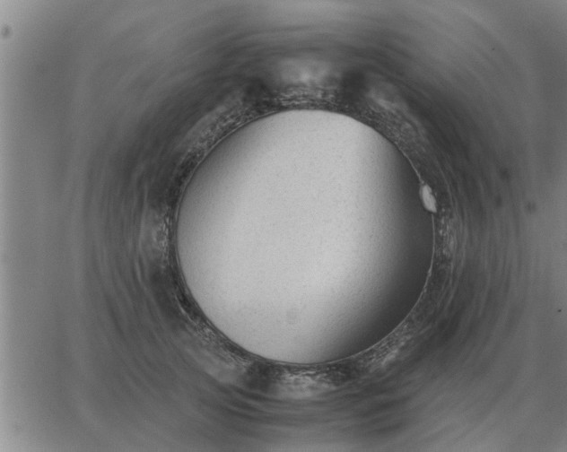 X0000062880753200601201819