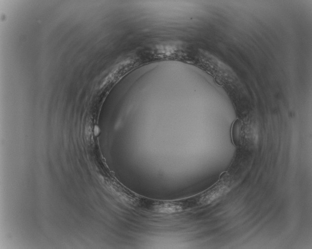 X0000062880754200601201819