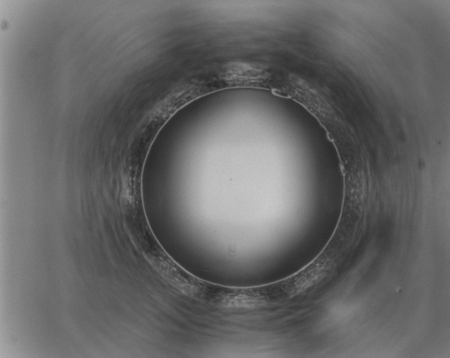 X0000062880755200601201819