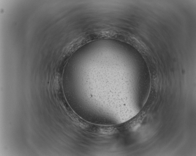 X0000062880757200601201819