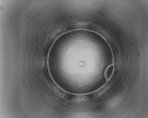 X0000062880758200601201819