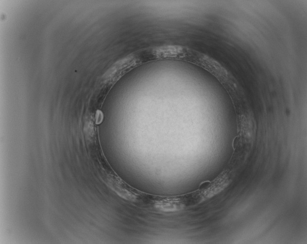 X0000062880761200601201819