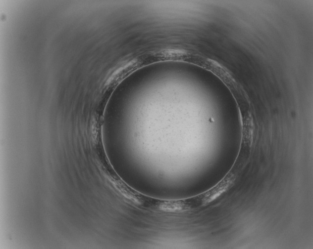 X0000062880762200601201819