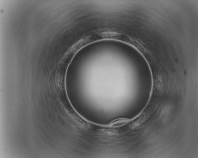 X0000062880763200601201819