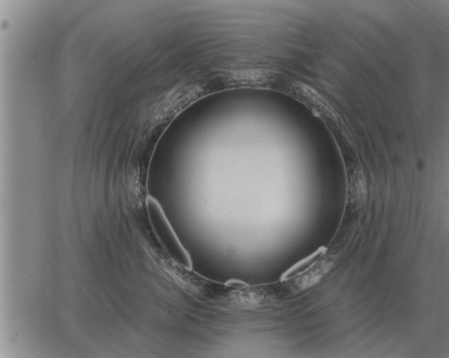 X0000062880764200601201819