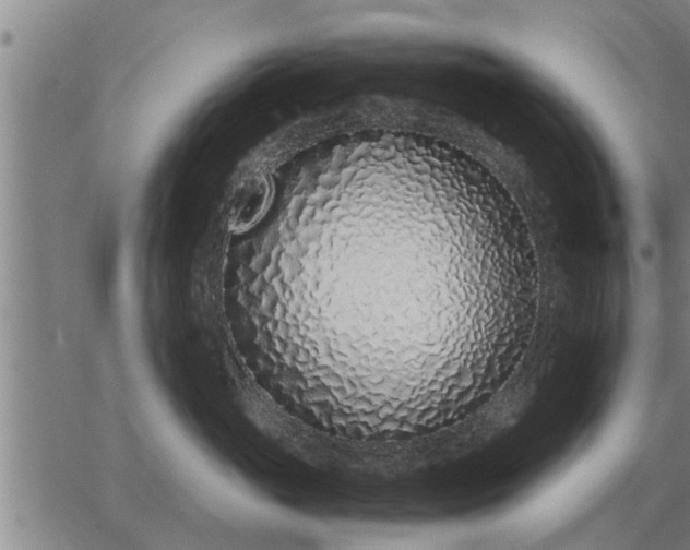 X0000062880765200601201819