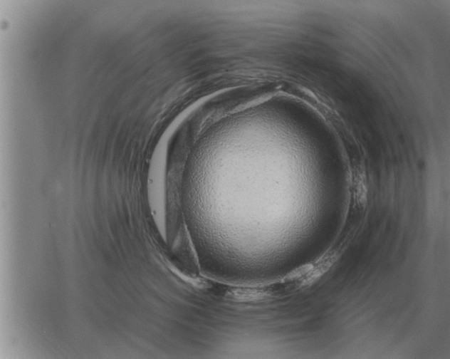 X0000062880766200601201820