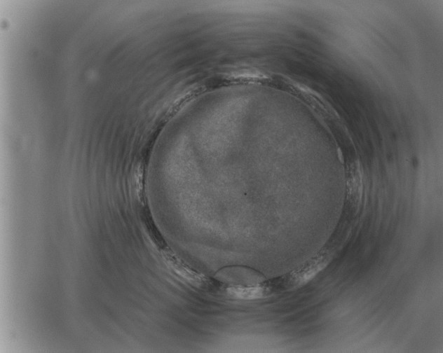 X0000062880767200601201820