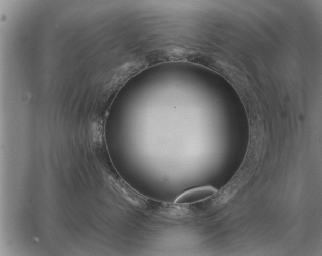 X0000062880768200601201820