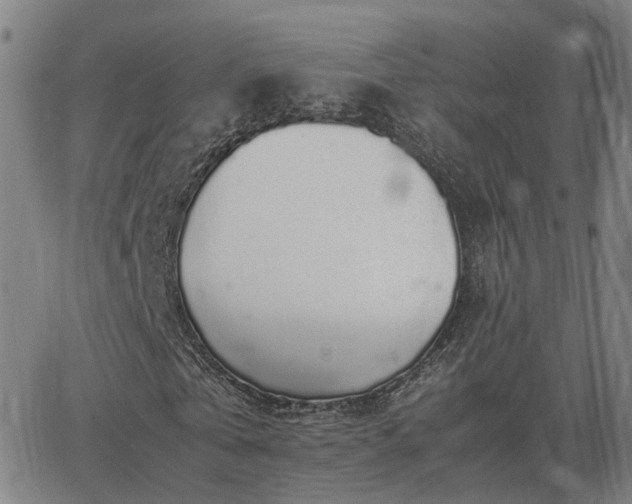 X0000062880769200601201819