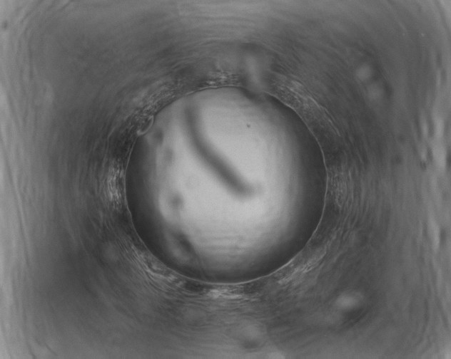 X0000062880770200601201819