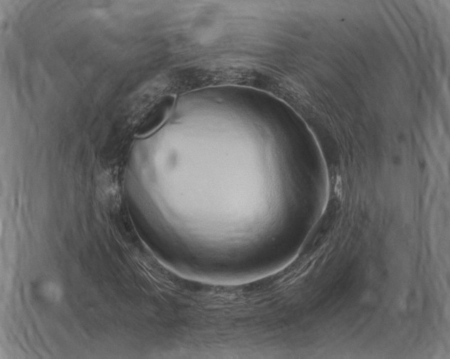 X0000062880771200601201819