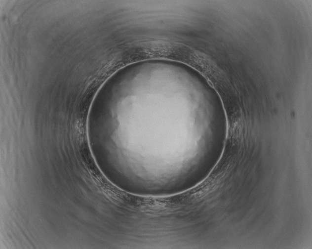 X0000062880772200601201819