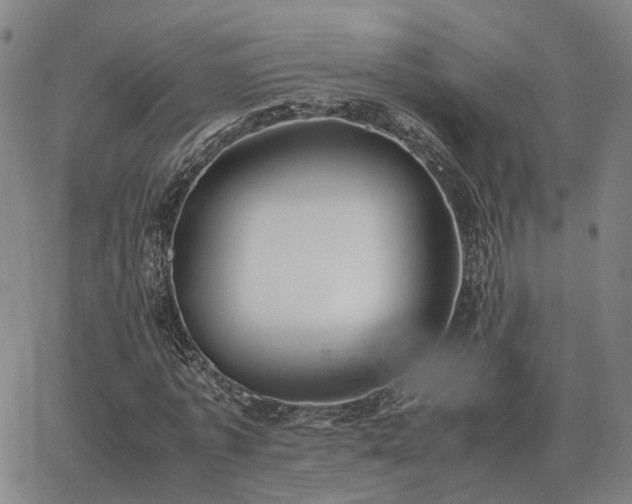 X0000062880773200601201819