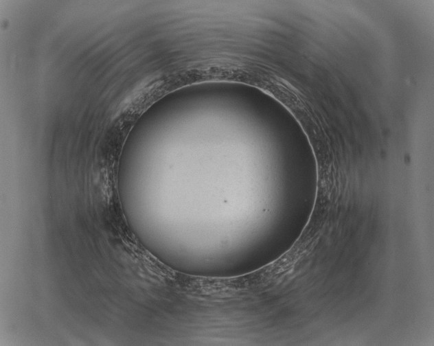 X0000062880774200601201819