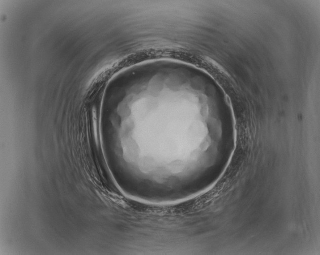 X0000062880775200601201819