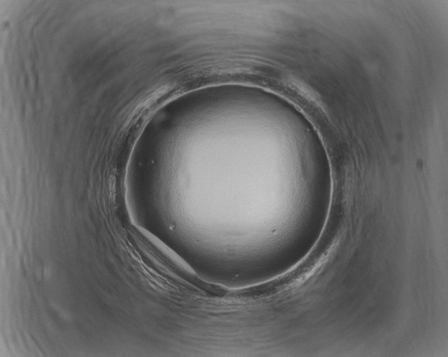 X0000062880777200601201819