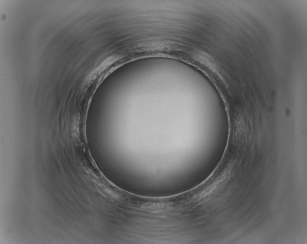 X0000062880778200601201819