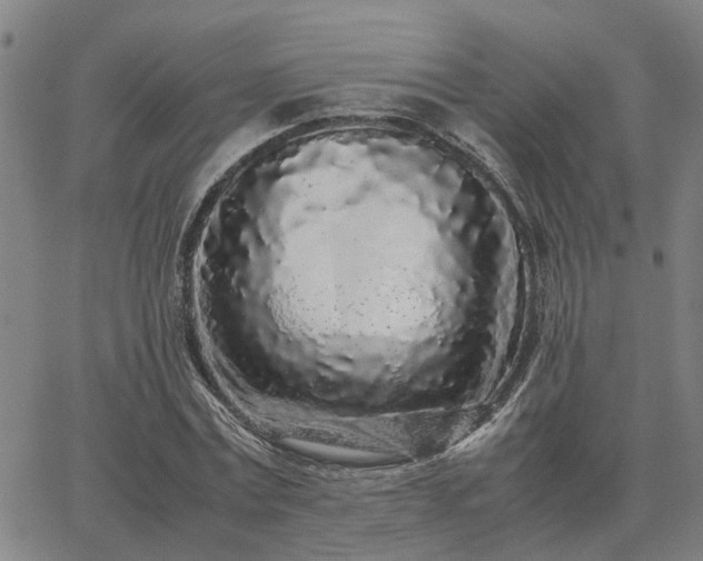 X0000062880779200601201819