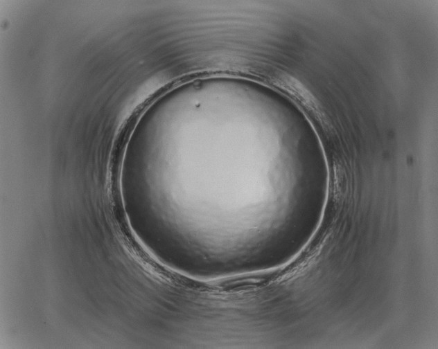 X0000062880780200601201819