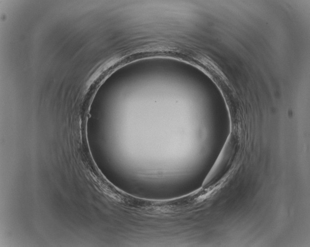 X0000062880781200601201819