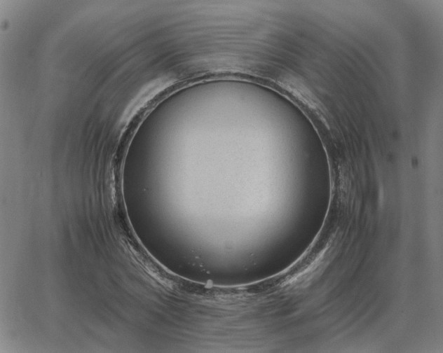 X0000062880782200601201819