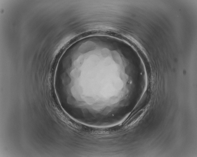 X0000062880783200601201819