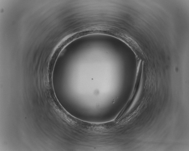 X0000062880784200601201818