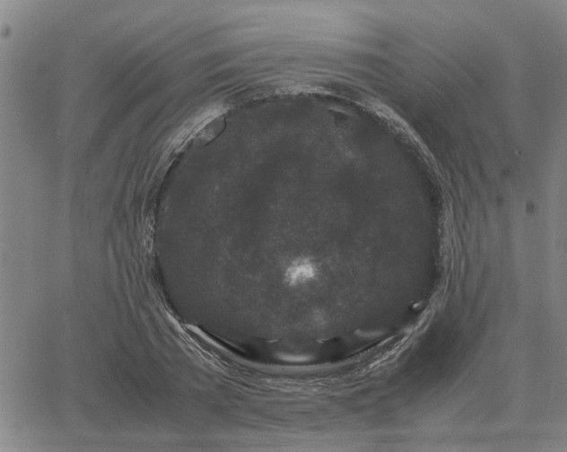 X0000062880785200601201818