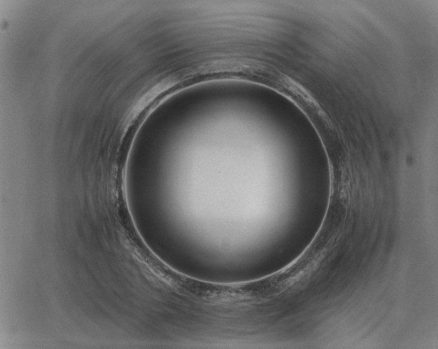 X0000062880786200601201818