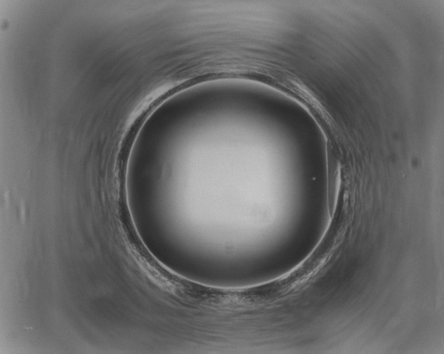 X0000062880787200601201818