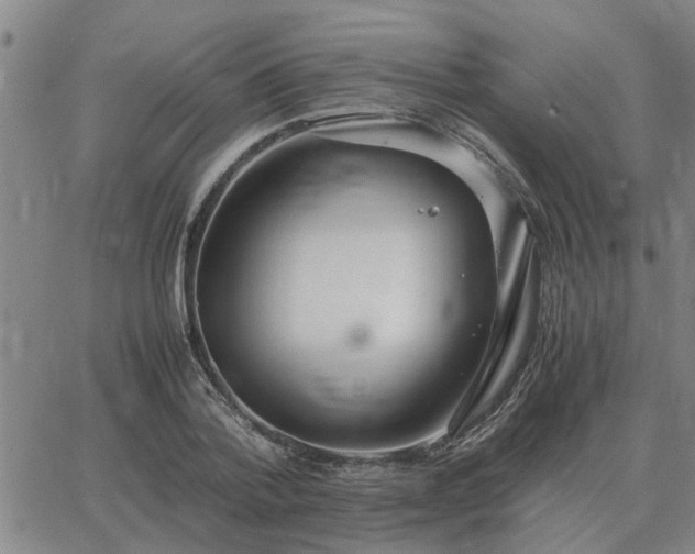 X0000062880788200601201818