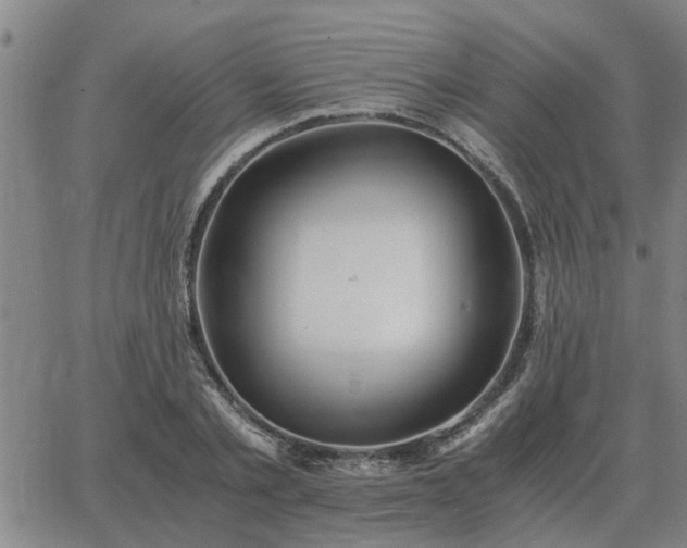 X0000062880789200601201818