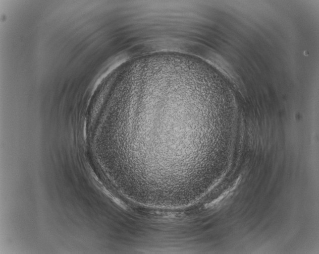 X0000062880790200601201818