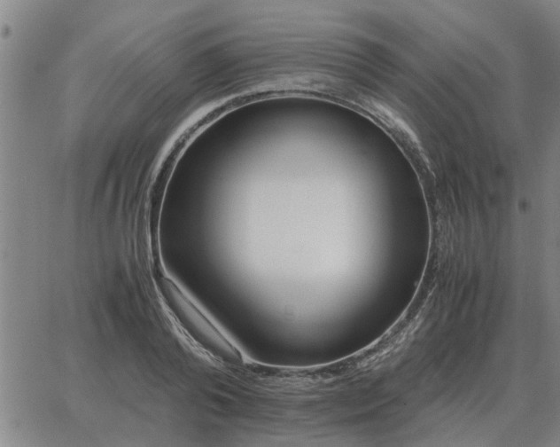 X0000062880792200601201818