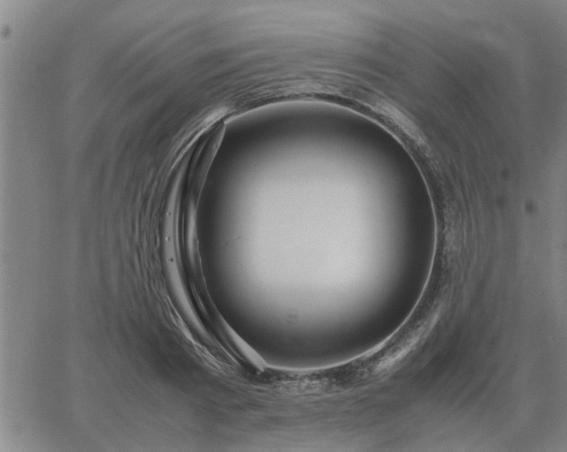 X0000062880793200601201818