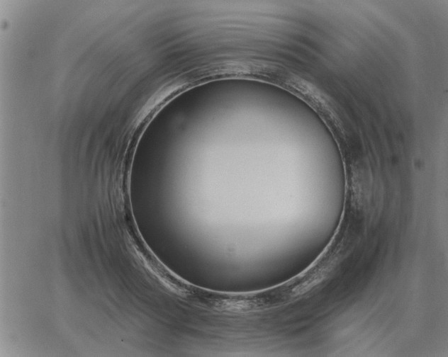 X0000062880794200601201818